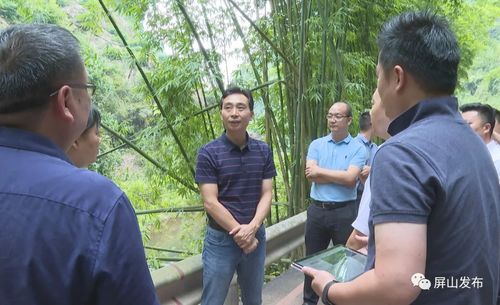 代軍深入龍華鎮調研指導，聚焦旅游項目開發新藍圖