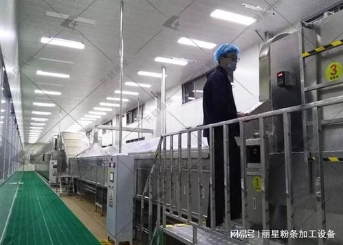 洋芋粉絲粉條機(jī)選購指南 性能、服務(wù)、價格如何權(quán)衡，告別后悔選擇